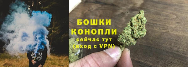 PSILOCYBIN Зеленодольск