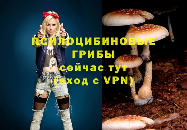 кокаин перу Заводоуковск