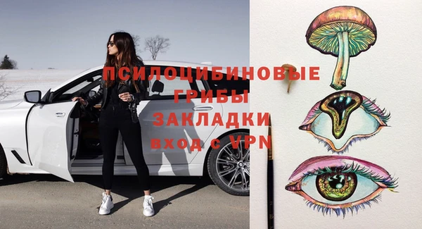 PSILOCYBIN Зеленодольск
