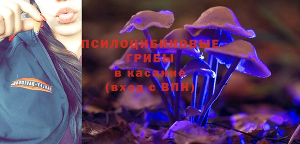 соль ск Заволжск