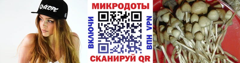 Купить  Ленинск-Кузнецкий  Галлюциногенные грибы Psilocybine cubensis 